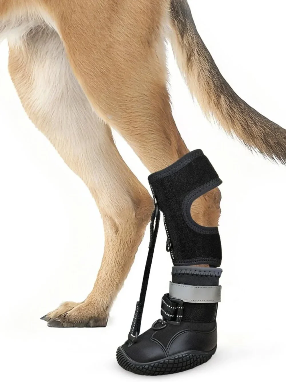 Idepet Dog Drop Foot Brace Strap On (No Knuckling Boot Brace)